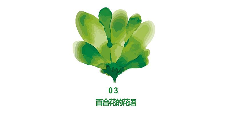 北师大版小学劳动六年级上册同步课件活动13丝网绽放百合花07