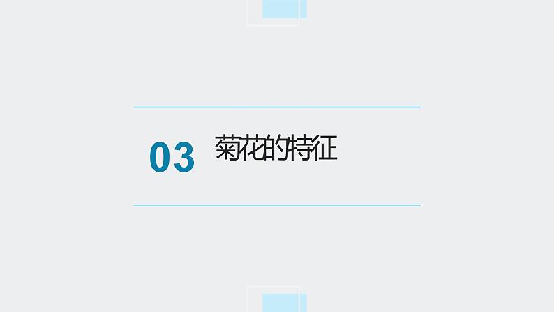 北师大版小学劳动五年级上册同步课件活动八采菊东篱见南山06