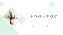 北师大版小学劳动三年级上册同步课件活动八土豆成长我观察