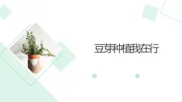 北师大版小学劳动二年级上册 活动10豆芽种植我在行 课件