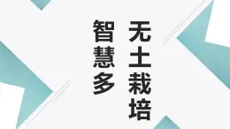 北师大版小学劳动四年级上册同步课件活动8无土栽培智慧多