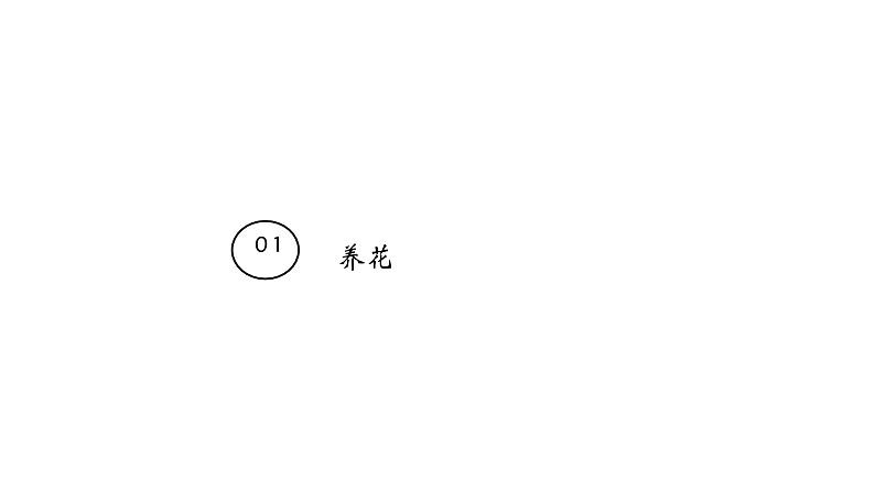 粤教版三年级第四单元劳动故事养花 课件03