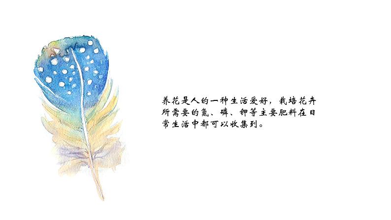 粤教版三年级第四单元劳动故事养花 课件04