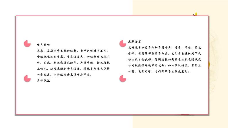 粤教版三年级第四单元劳动故事养花 课件06