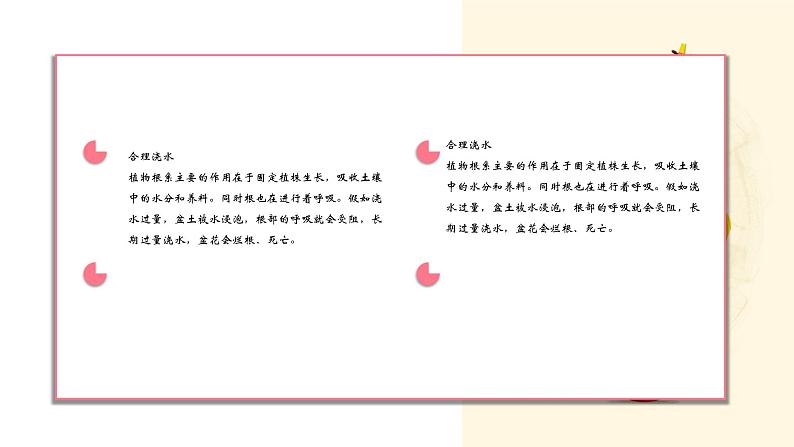 粤教版三年级第四单元劳动故事养花 课件07