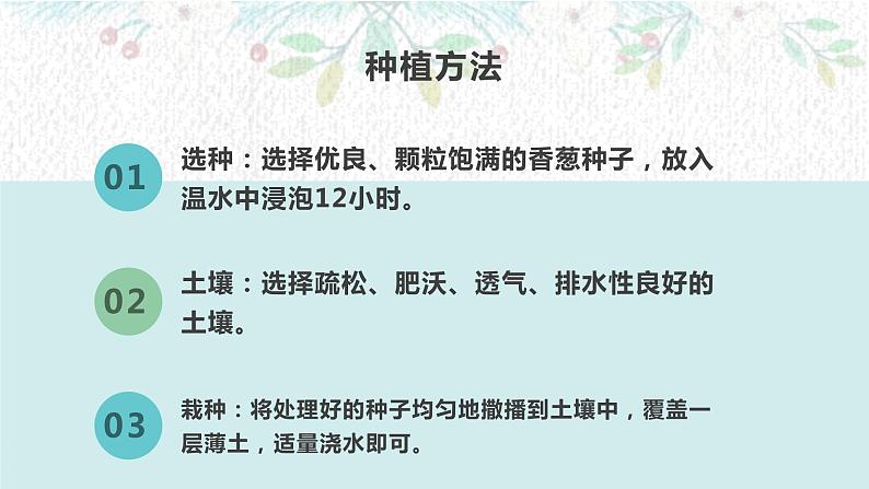 湘教版高年级第二单元第6课盆栽香葱 课件07