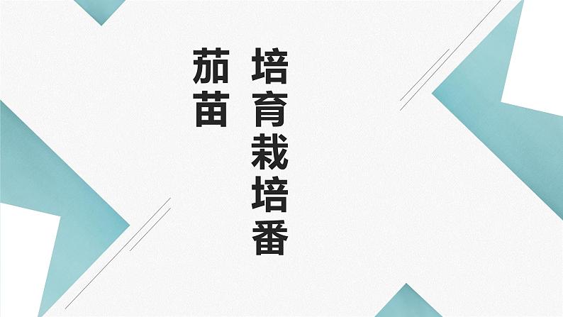 人教版小学五年级劳动同步课件八培育栽培番茄苗第1页