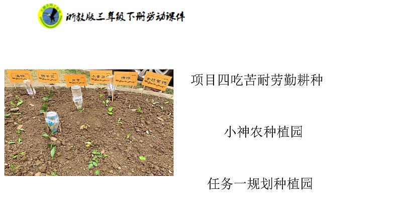 浙教版三年级劳动下册项目四任务一规划种植园课件+素材02