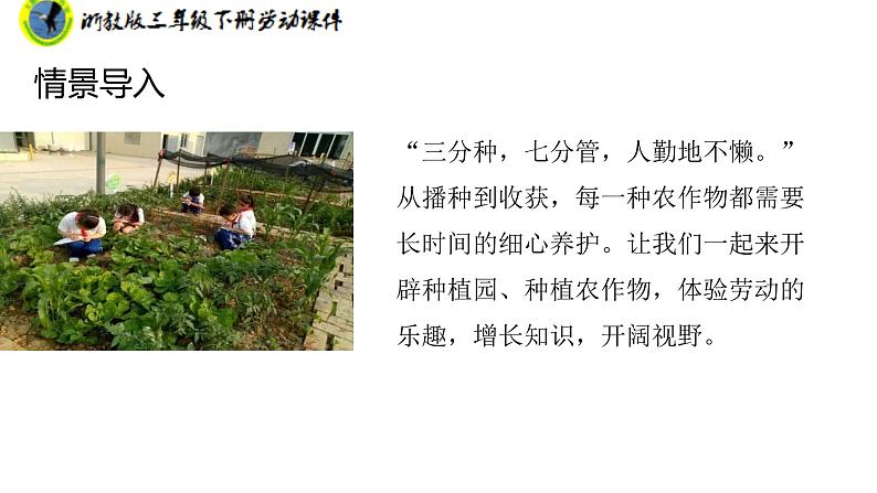 浙教版三年级劳动下册项目四任务一规划种植园课件+素材07