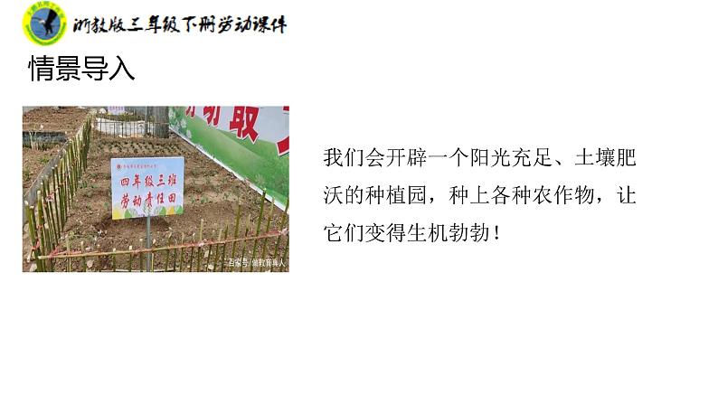 浙教版三年级劳动下册项目四任务一规划种植园课件+素材08