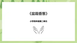 2.6《盆栽香蔥》課件+教案