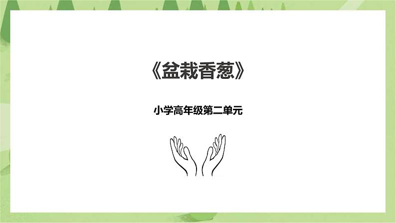 2.6《盆栽香葱》课件+教案01