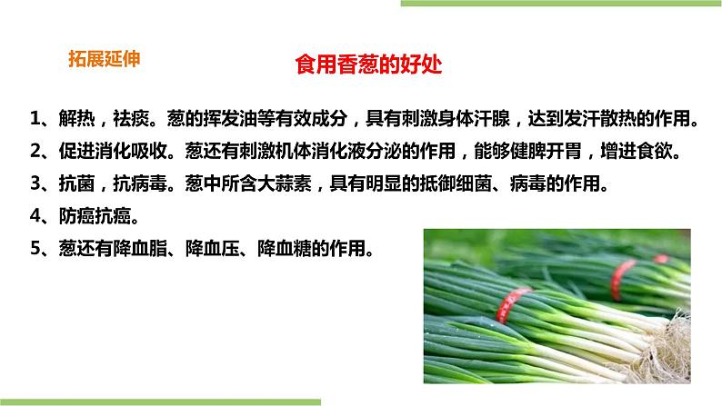 2.6《盆栽香葱》课件+教案05