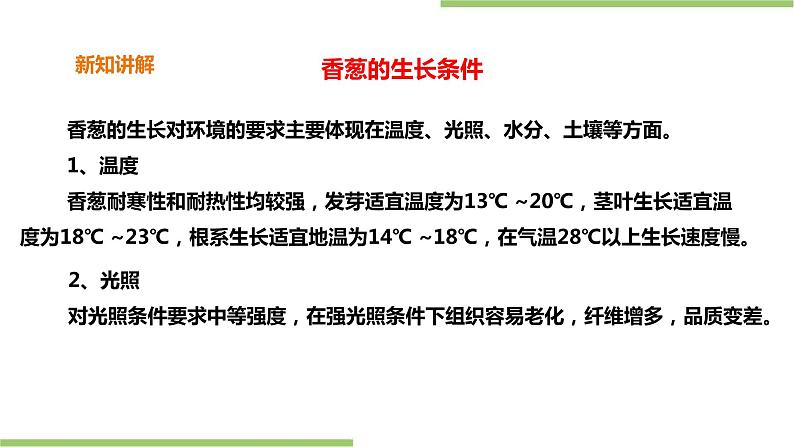 2.6《盆栽香葱》课件+教案07
