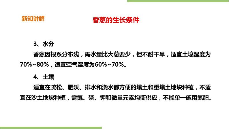 2.6《盆栽香葱》课件+教案08