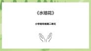 小学湘教版（广西）第7课 水培花优秀课件ppt