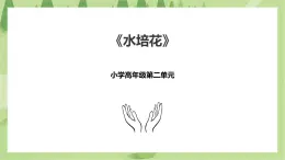 2.7《水培花》课件+教案