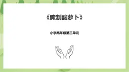 3.11《腌制酸蘿卜》課件+教案