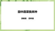 小学劳技浙教版四年级下册任务二   园中蔬菜我来种评优课ppt课件