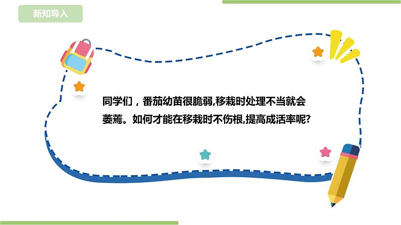 任务二《园中蔬菜我来种》课件+教案03