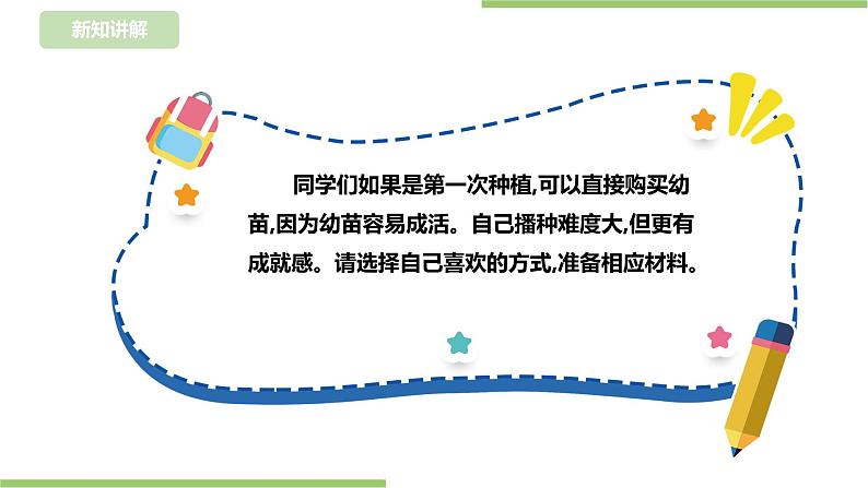 任务二《园中蔬菜我来种》课件+教案05