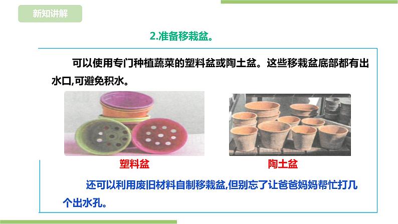 任务二《园中蔬菜我来种》课件+教案06