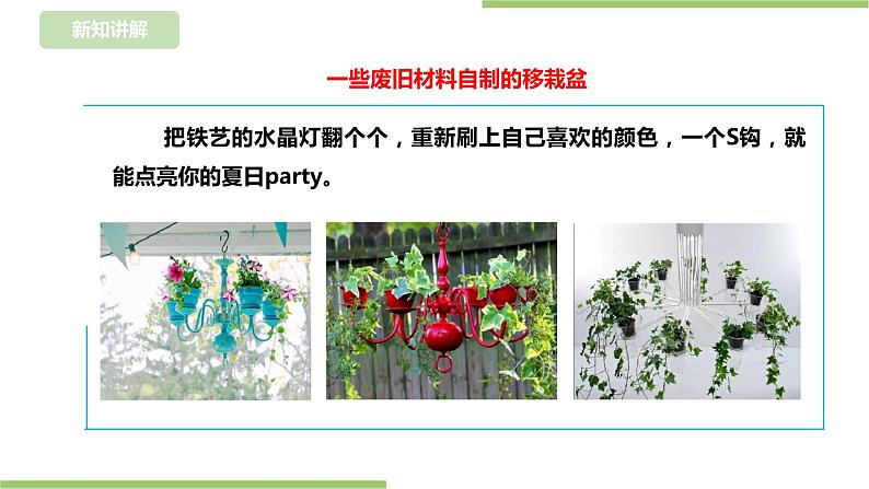 任务二《园中蔬菜我来种》课件+教案07