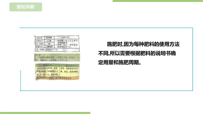 任务三《蔬菜幼苗我养护》课件+教案06