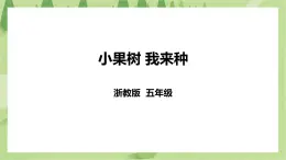 任务一《小果树 我来种》课件+教案