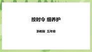 小学项目二   精耕细作收获多——果树种植我在行任务二   按时令 细养护优质课件ppt