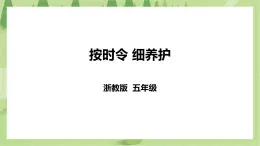 任务二《按时令 细养护》课件+教案