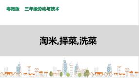 粤教版三年级第三单元  请到厨房露一手活动1  淘米、择菜、洗菜完整版ppt课件