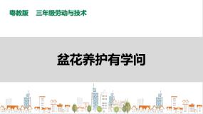 小学活动2  盆花养护有学问精品课件ppt