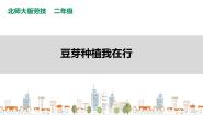 北师大版二年级活动10 豆芽种植我在行优秀ppt课件