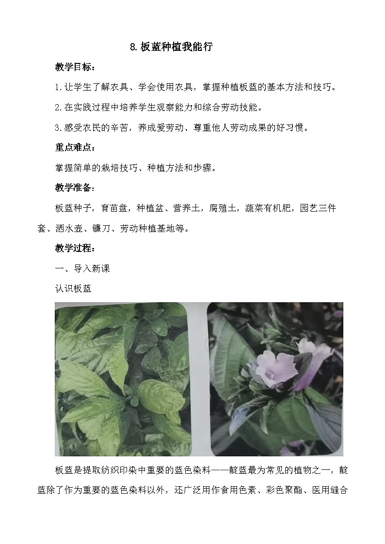 8.板蓝种植我能行(教案)2023-2024学年小学劳动五年级上册(人教版)第1页