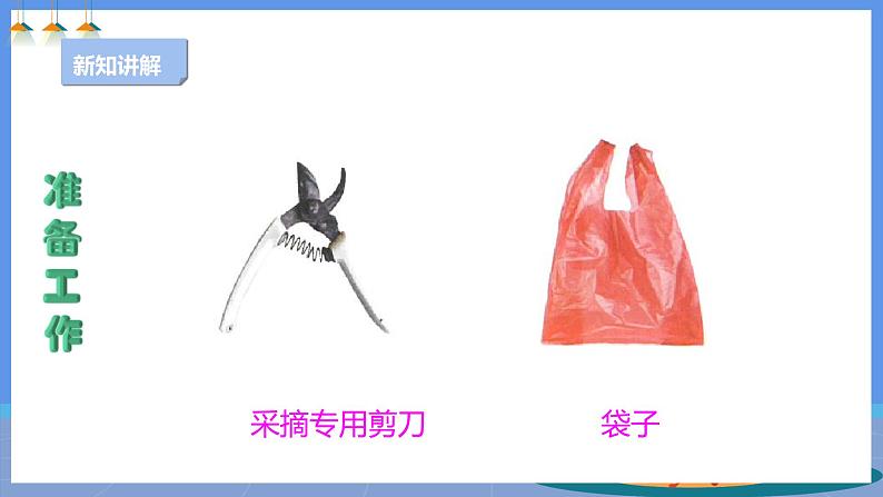【人教版】四下劳技 项目一0《小果农》课件+教案+素材04