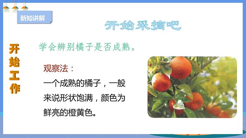 【人教版】四下劳技 项目一0《小果农》课件+教案+素材06