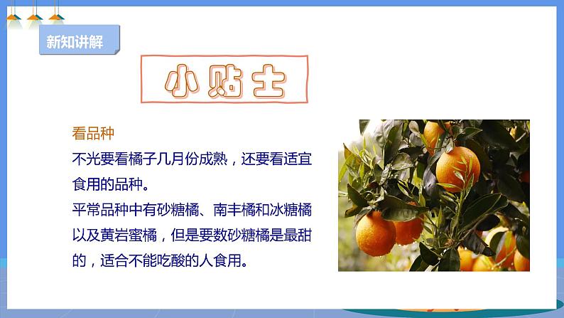 【人教版】四下劳技 项目一0《小果农》课件+教案+素材08