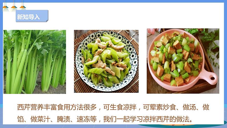 【人教版】三下劳技 项目五 凉拌西芹 课件+教案+素材03