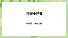 粤教版二年级全册《劳动与技术》第四单元 《 种棵小芦荟》课件