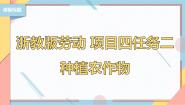 浙教版三年级下册项目四   吃苦耐劳勤耕种——小神农种植园任务二   种植农作物优秀课件ppt