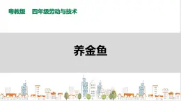 【粵教版】四年級全一冊《勞動與技術》第四單元  活動一《養(yǎng)金魚》教案+課件