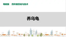 【粵教版】四年級全一冊《勞動與技術》第四單元  活動三《養(yǎng)烏龜》教案+課件