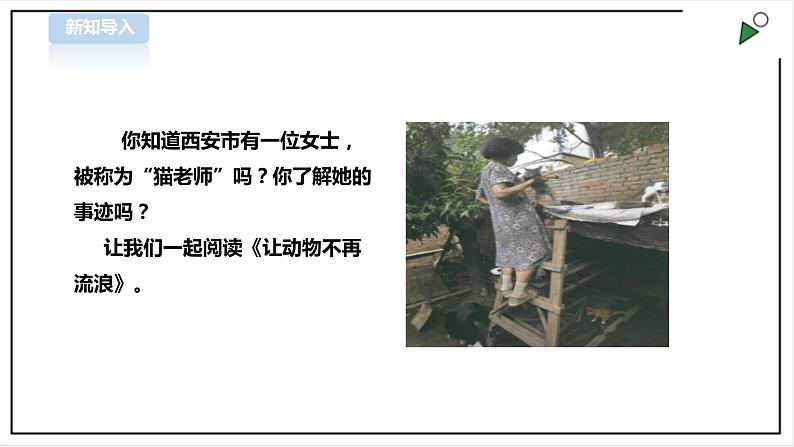 【粤教版】四年级全一册《劳动与技术》第四单元 《劳动故事、展示平台》2 教案+课件02