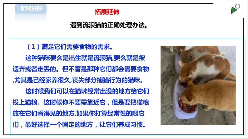 【粤教版】四年级全一册《劳动与技术》第四单元 《劳动故事、展示平台》2 教案+课件07