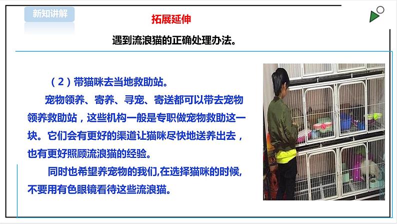 【粤教版】四年级全一册《劳动与技术》第四单元 《劳动故事、展示平台》2 教案+课件08