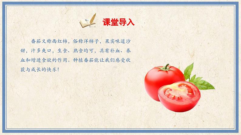 人民版劳动五年级上册 8 培育栽培番茄苗(课件)第2页