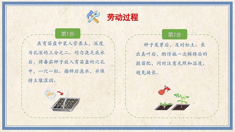 人民版劳动五年级上册 8 培育栽培番茄苗(课件)第5页
