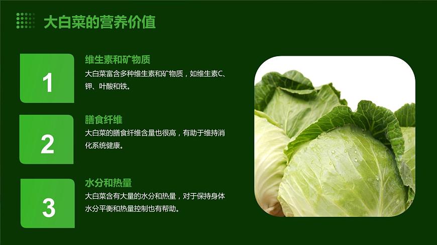 人民版勞動六年級上冊 10貯藏大白菜（課件）第5頁