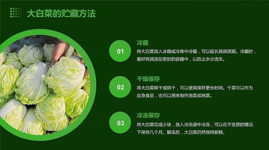 人民版勞動六年級上冊 10貯藏大白菜（課件）第6頁